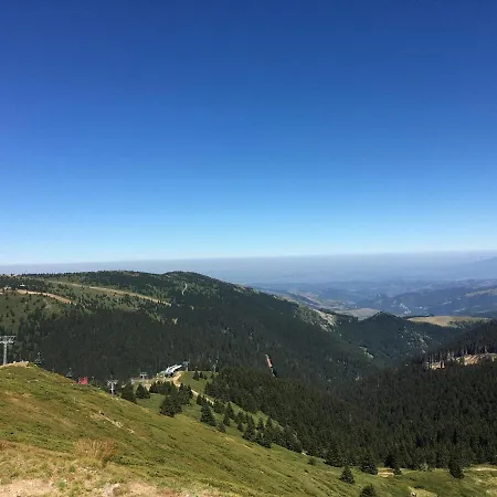 Milmari P38 アパート コパオニク