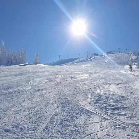 Milmari P38 コパオニク