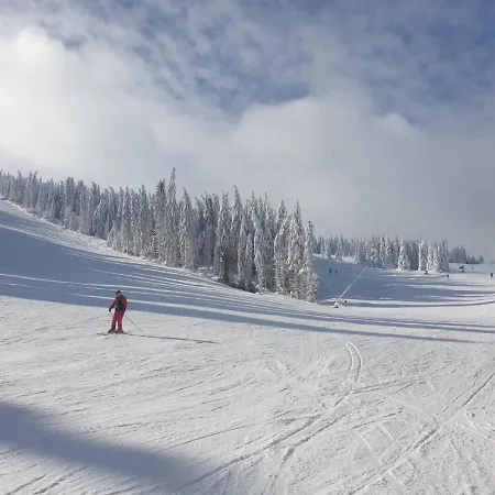 Milmari P38 アパート