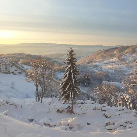 アパート Milmari P38 *