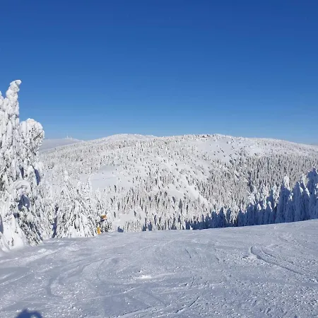 Milmari P38 * Kopaonik