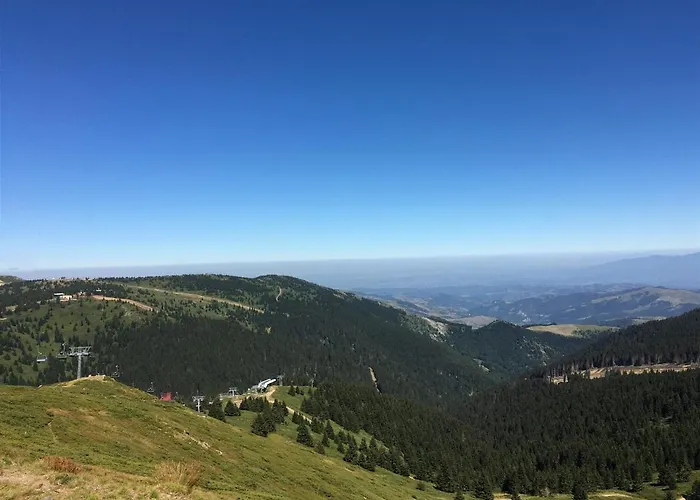 Milmari P38 Apartman Kopaonik