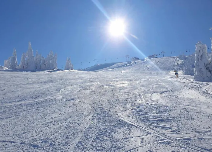 Milmari P38 Kopaonik