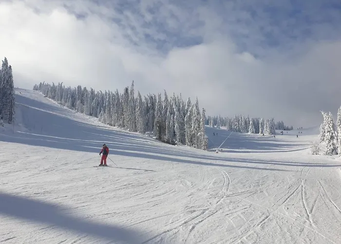 Milmari P38 דירה