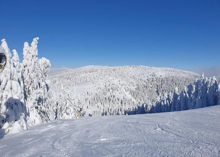 Milmari P38 * Kopaonik